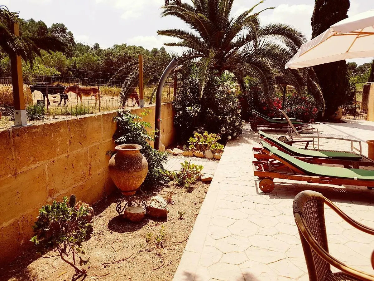 Hotel Finca Caballo Blanco Montuiri